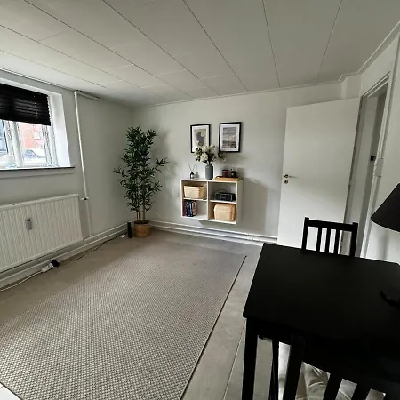 Apartamento Cozy Basement Odense