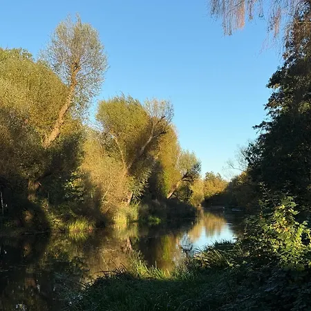 Cozy Basement Apartamento *