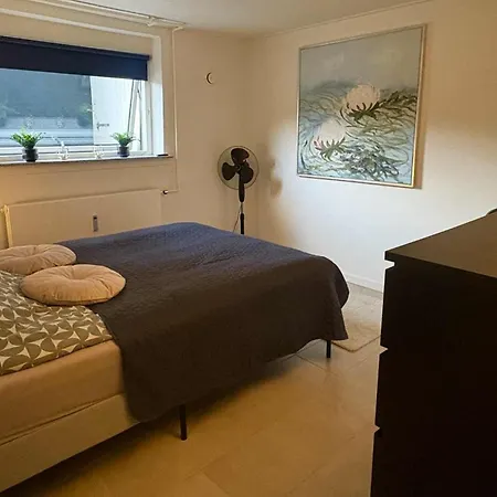 Cozy Basement Appartamento