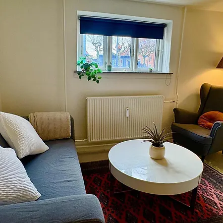 Apartamento Cozy Basement Odense